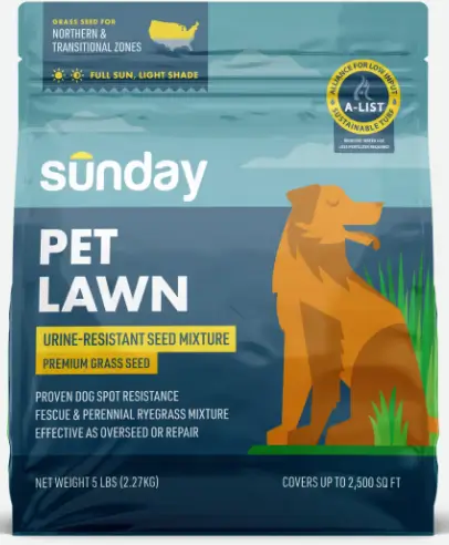 Pet Lawn Grass Seed
