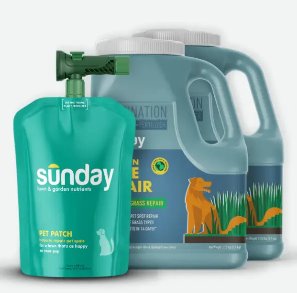 Pet Patch Kit