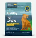 Pet Lawn Grass Seed